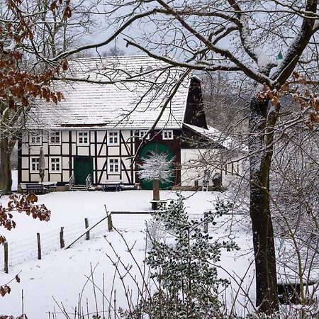 Suffelmuehle Villa Bad Driburg Dış mekan fotoğraf